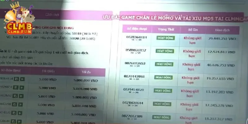 chơi chẵn lẻ Momo ở đâu 